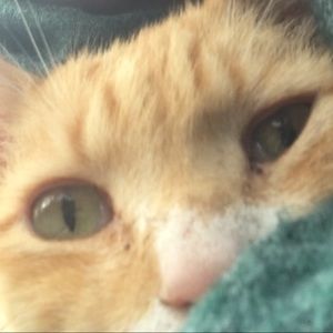 Meet your Posher, Nadira